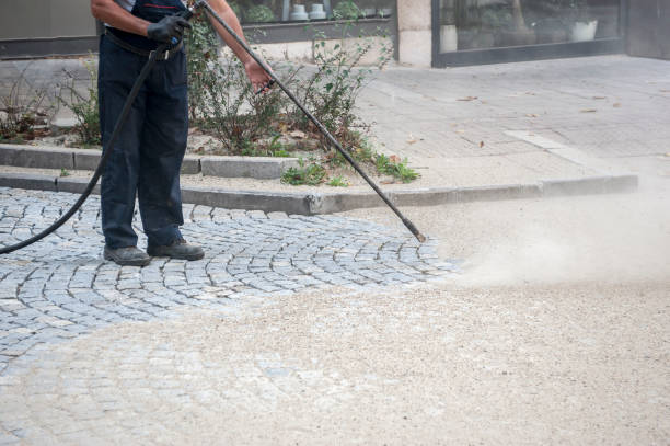 Best Spring Cleaning  in Mazon, IL