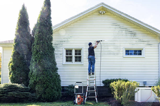 Best House Exterior Washing  in Mazon, IL